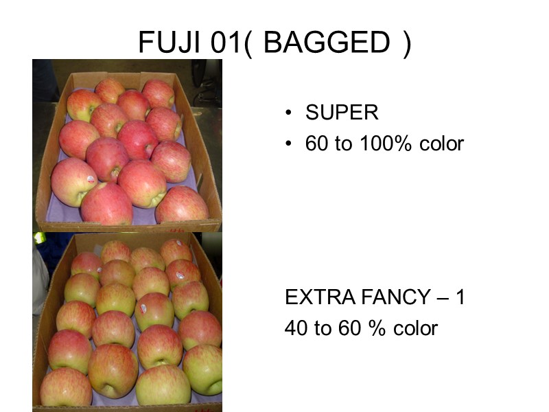 FUJI 01( BAGGED ) SUPER 60 to 100% color     